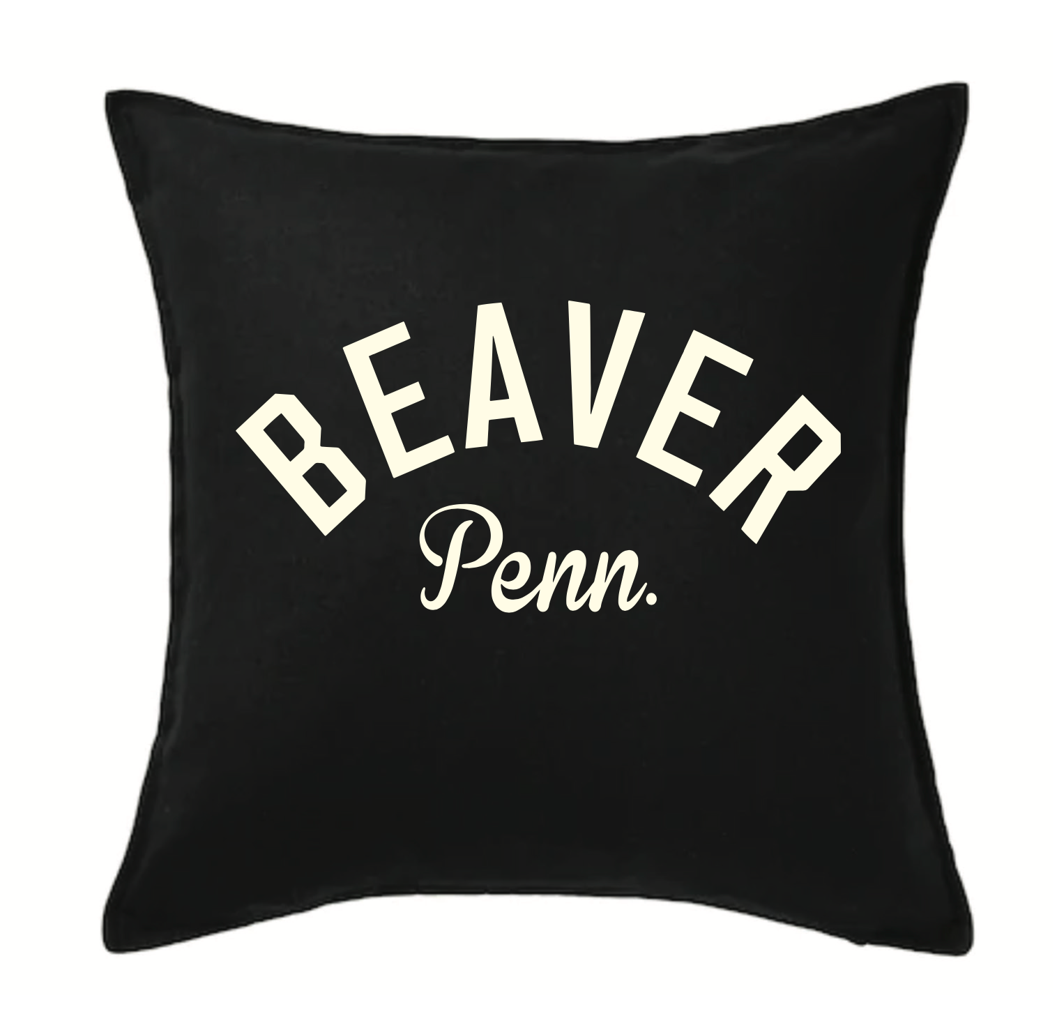 Beaver Penn. Pillow